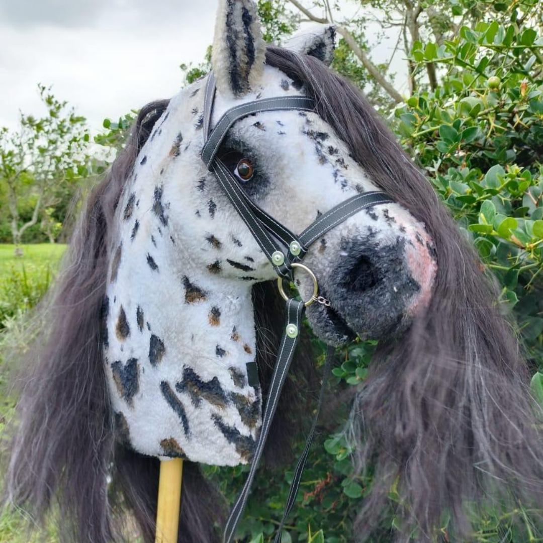 HHE Hobby Horse - Image 6