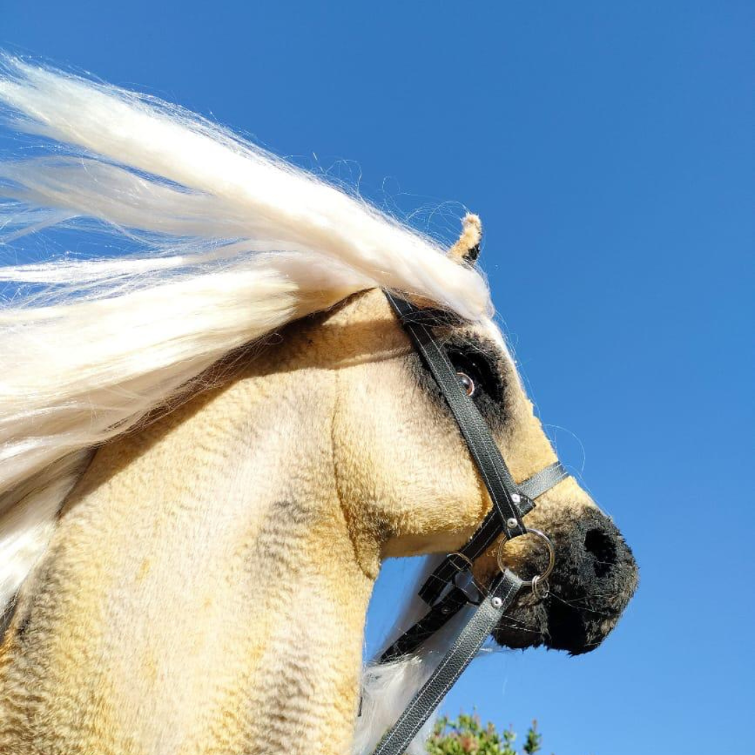 HHE Hobby Horse - Image 7