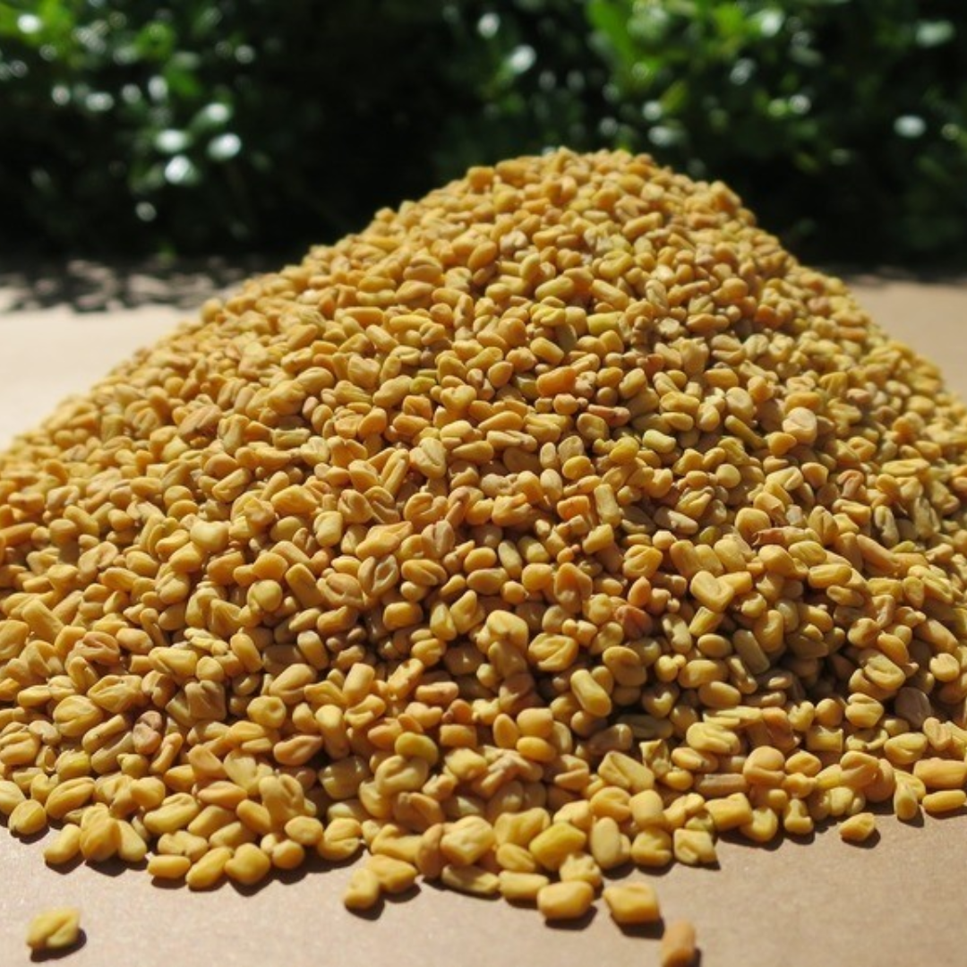 Fenugreek Seed Honeyvale - Image 2