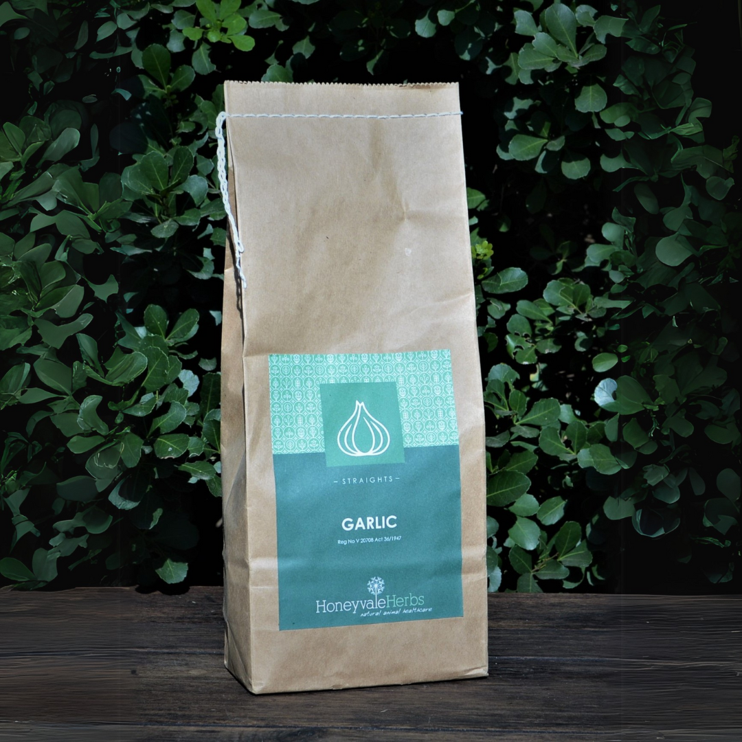 Garlic Granules Honeyvale