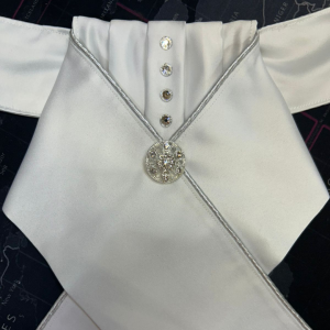 Silver Diamante Stock Tie