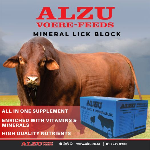ALZU Mineral Lick Cattle, Goats and Horses 20KG - Image 2