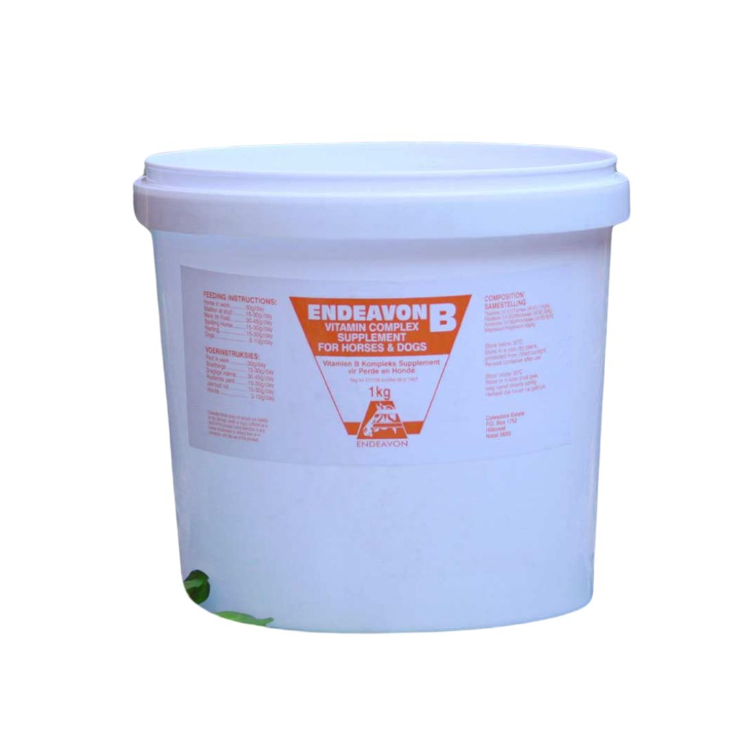 Endeavon B Vit