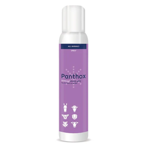 Panthox Wound Spray Purple 200ML