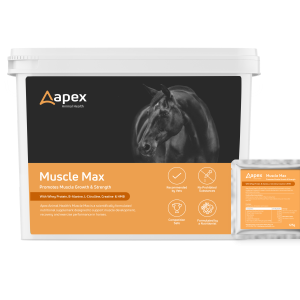 Apex Muscle Max
