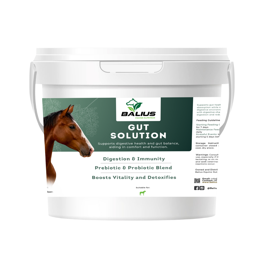 Gut Solution