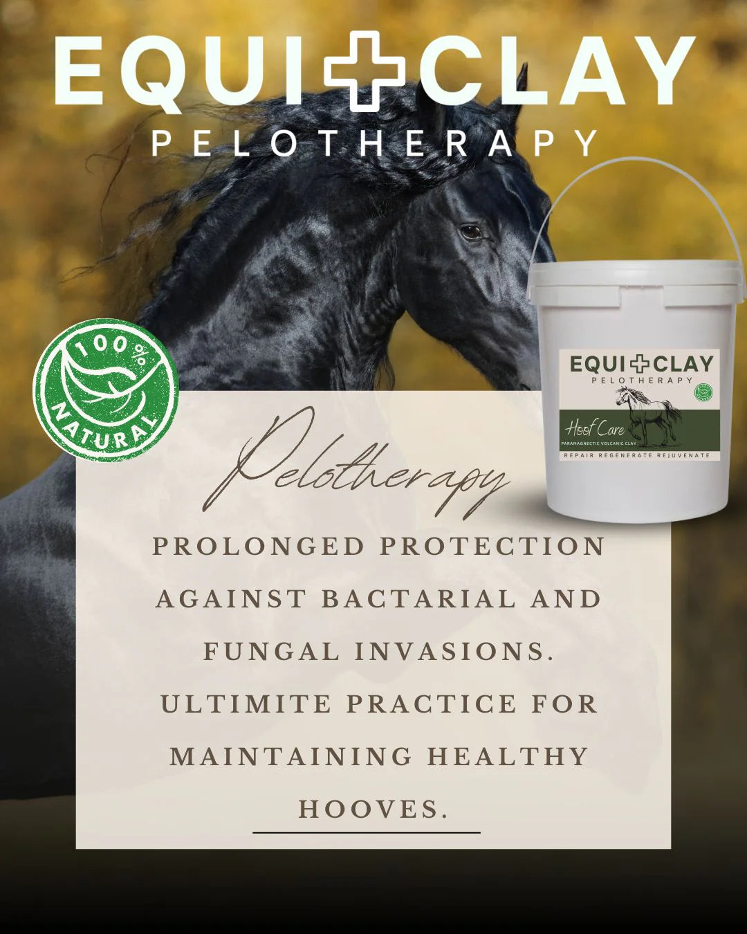 EquiClay Hoof Clay - Image 4