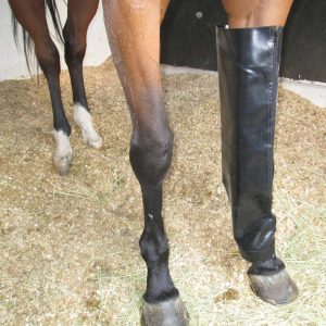 ICE BOOTS LONG