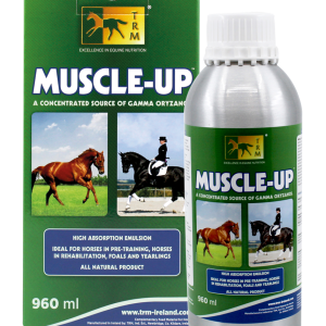 Muscle Up