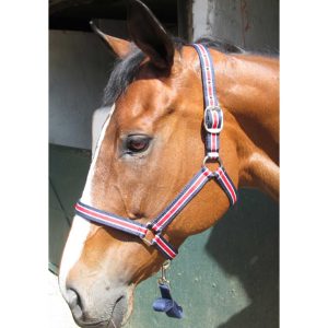 Halter Solo + Lead