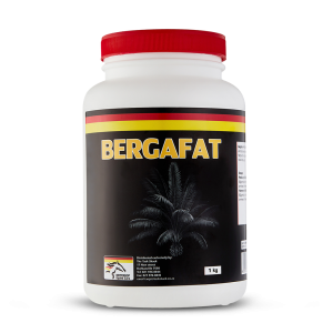 Reiterhof Bergafat
