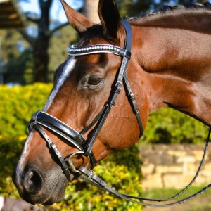 White Padded Bridle
