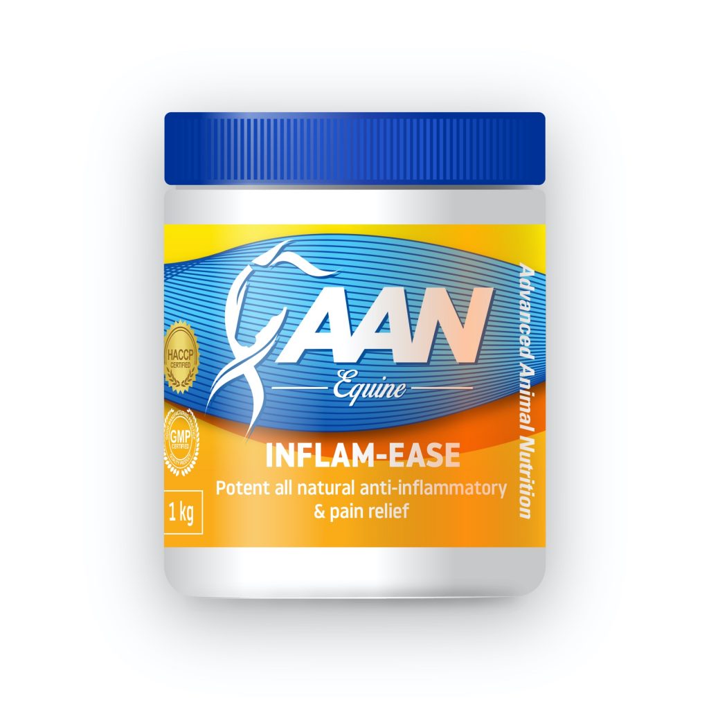 Aan Inflam Ease 1KG