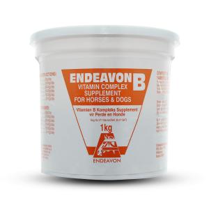 Msm Endeavon