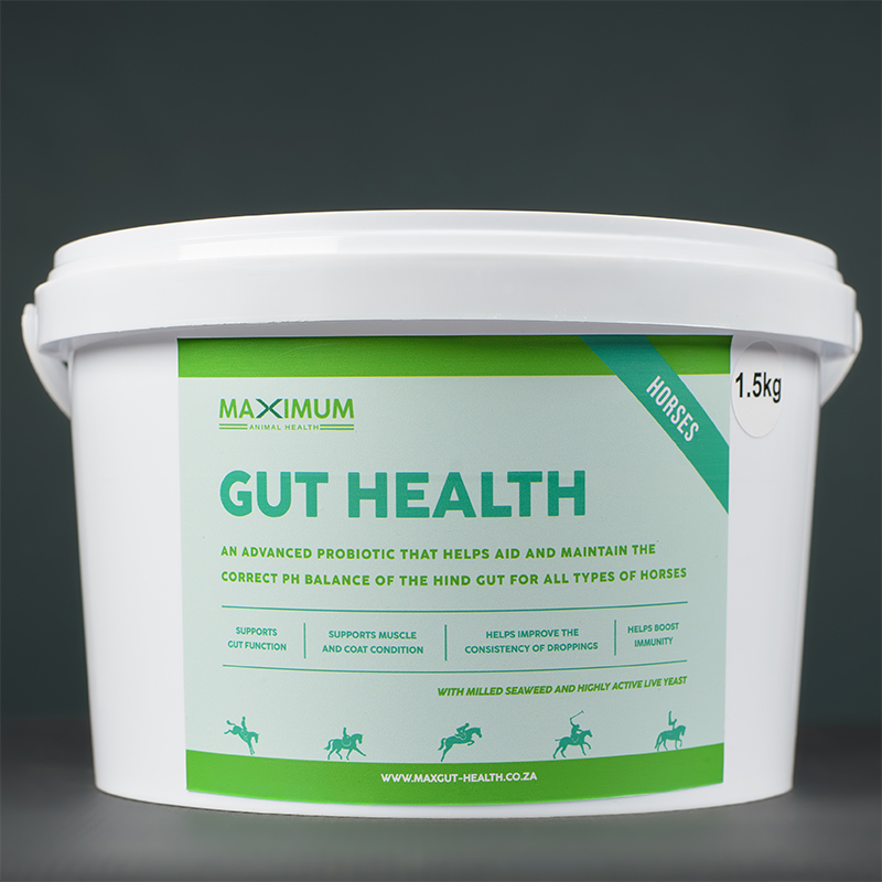 Max Gut Health 4.5kg