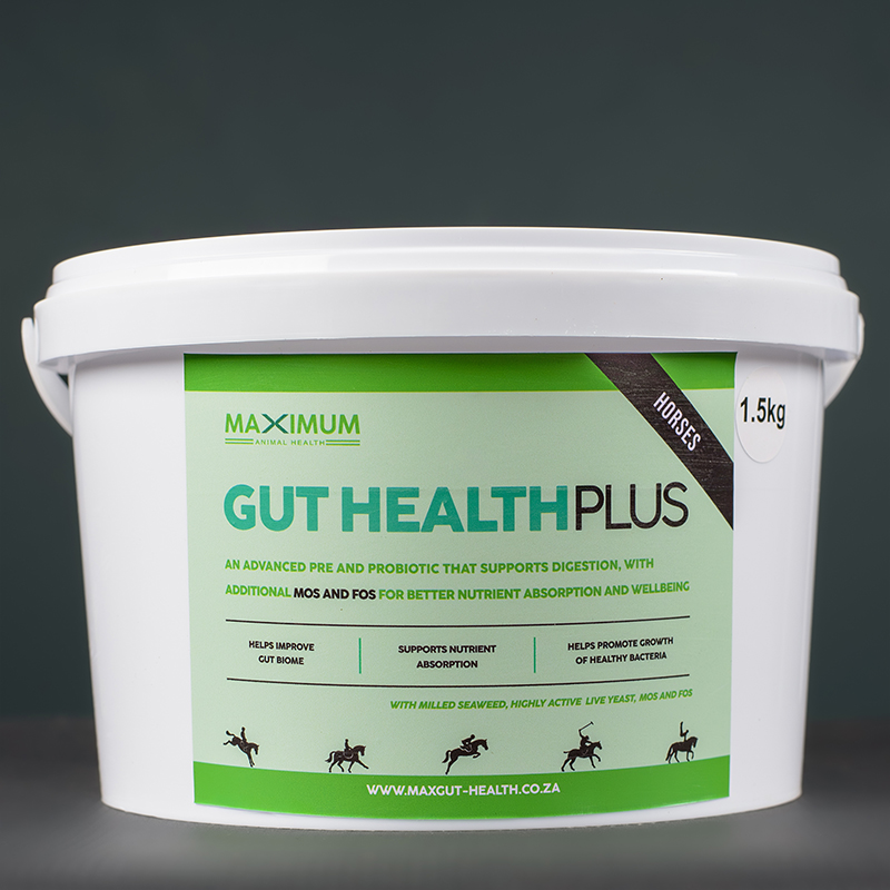 Max Gut Health PLUS 4.5kg