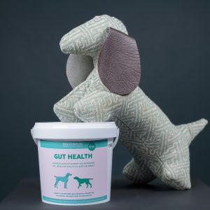 Max Gut Health for Dogs 200g