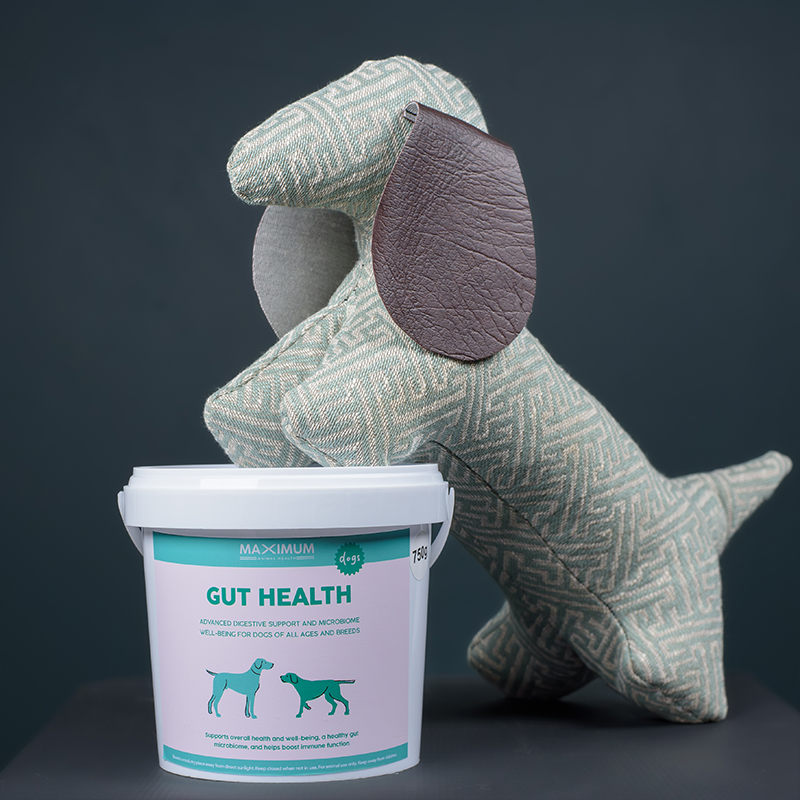 Max Joint Health Dog 200g