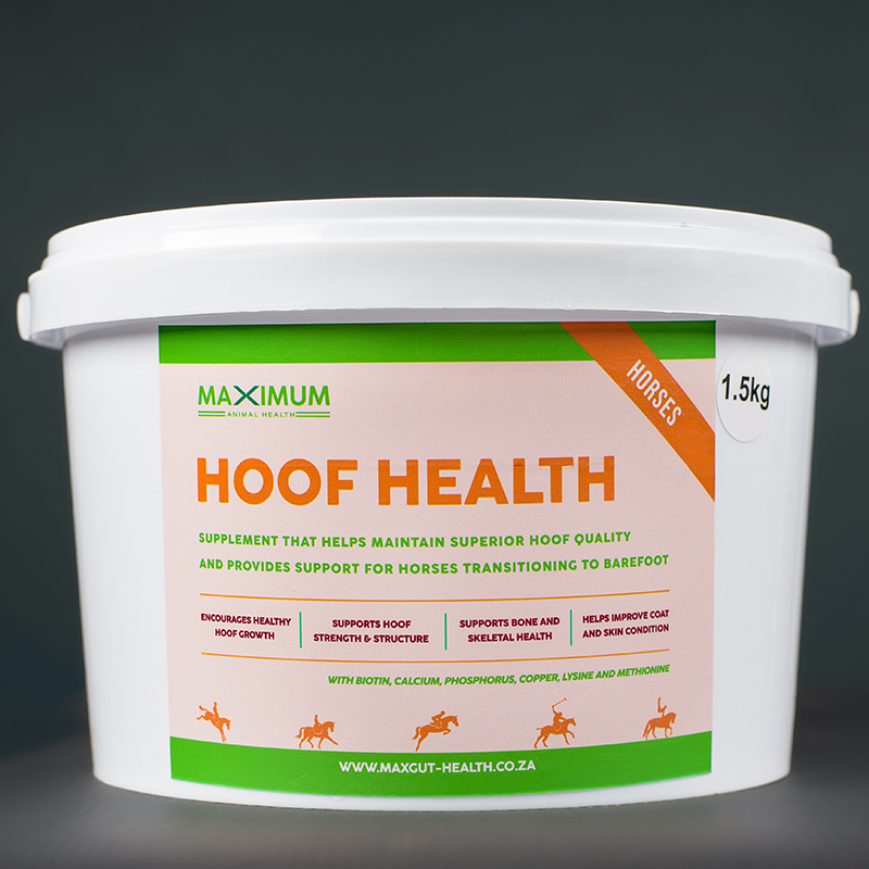 Max Hoof Health 1.5kg