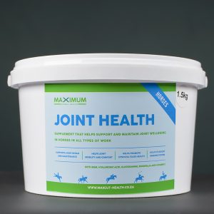 Max Joint Health 750g