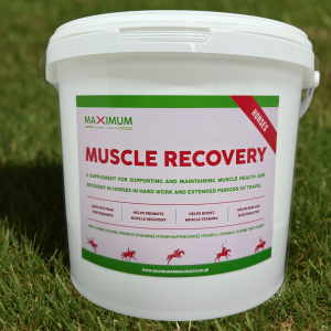Max Muscle Recovery with Electrolytes 3kg
